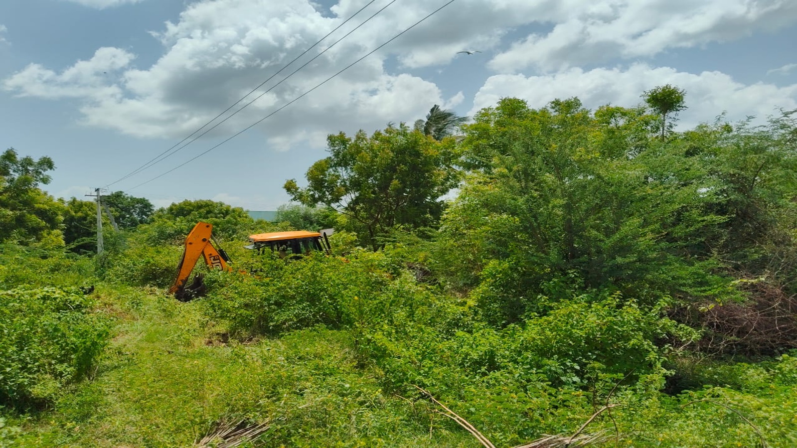 Plot 166 Before Cleanup